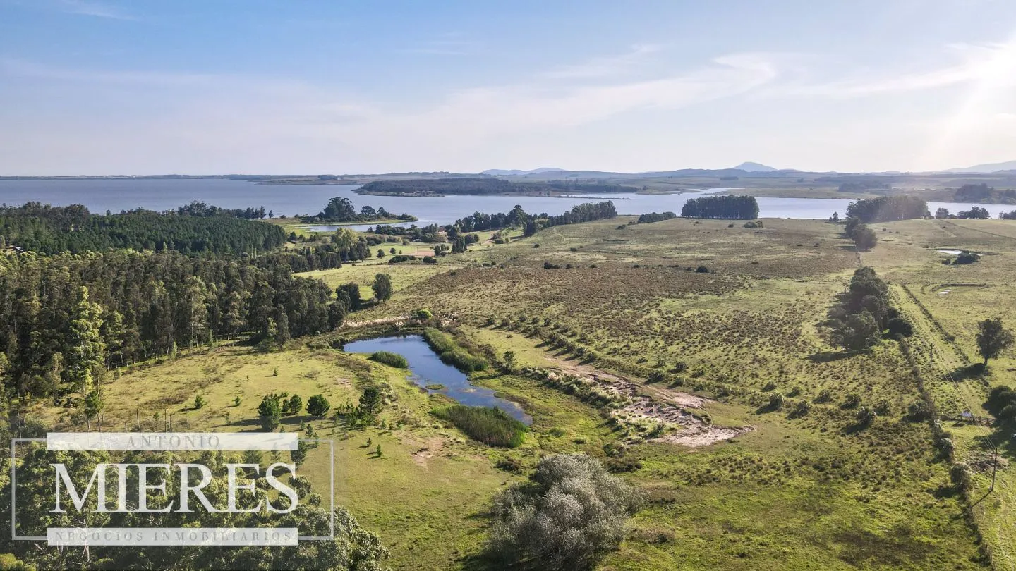 Chacra de 10ha en Laguna del Sauce Maldonado — foto 5