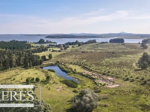 Chacra de 10ha en Laguna del Sauce Maldonado — foto 5