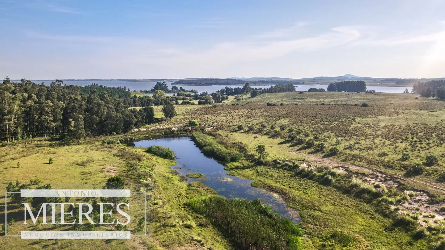 Chacra de 10ha en Laguna del Sauce Maldonado — foto 6