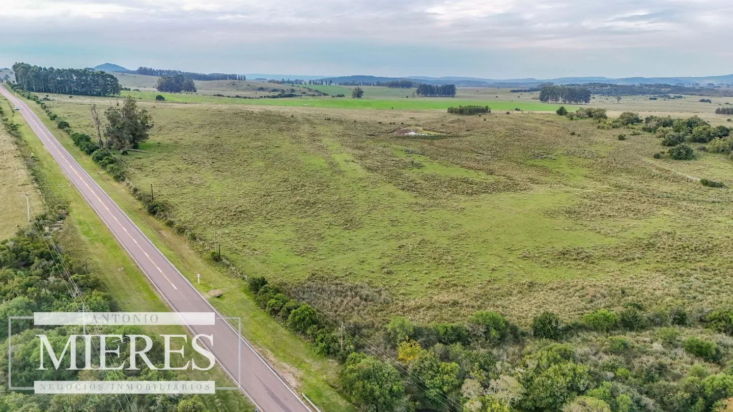 Campo en venta de 68 ha sobre ruta 39 — foto 17