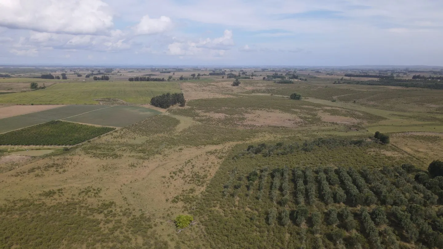 Campo en venta de 55 ha Canelones — foto 14