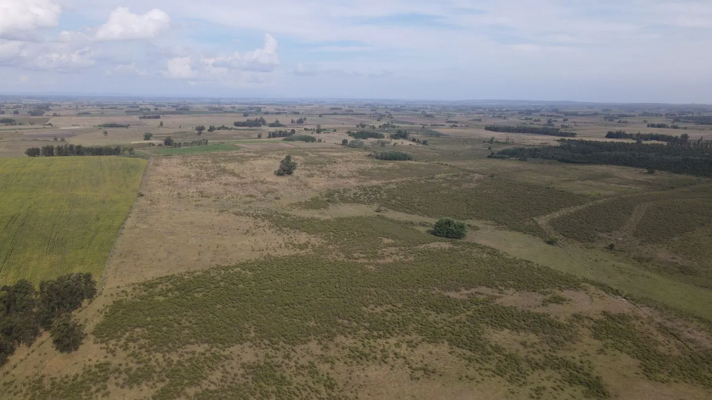 Campo en venta de 55 ha Canelones — foto 15