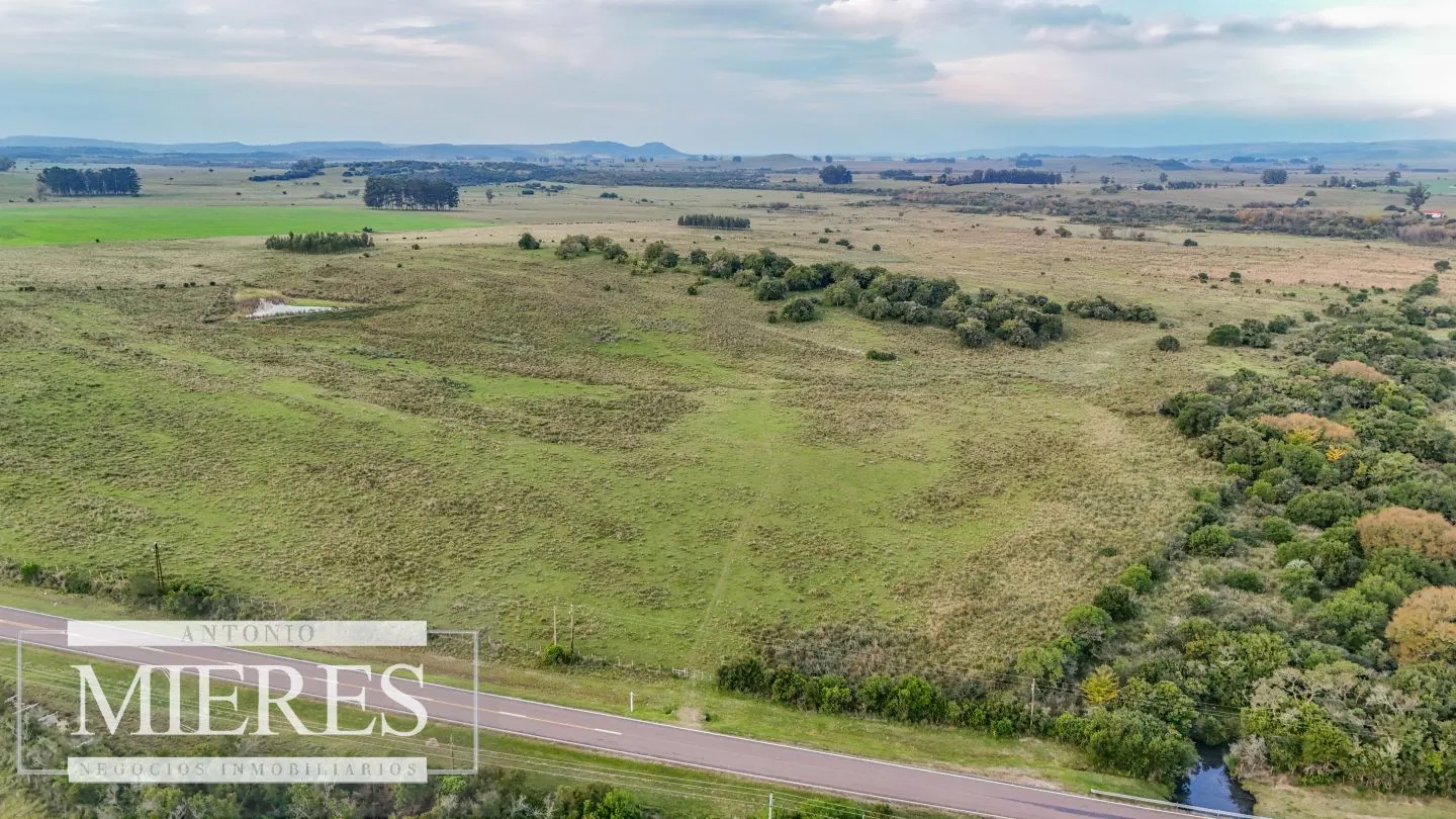 Campo en venta de 68 ha sobre ruta 39 — foto 18