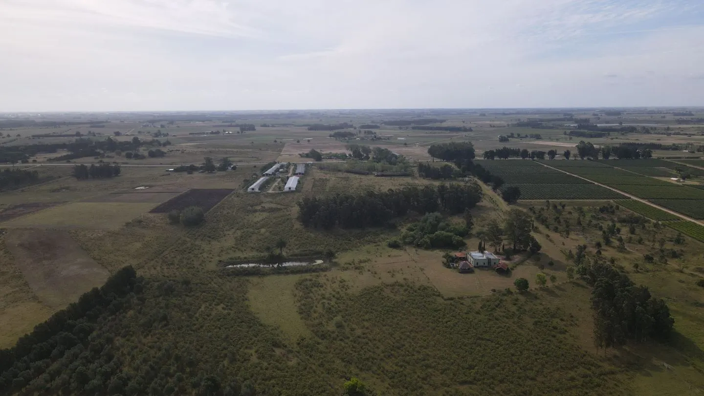 Campo en venta de 55 ha Canelones — foto 16
