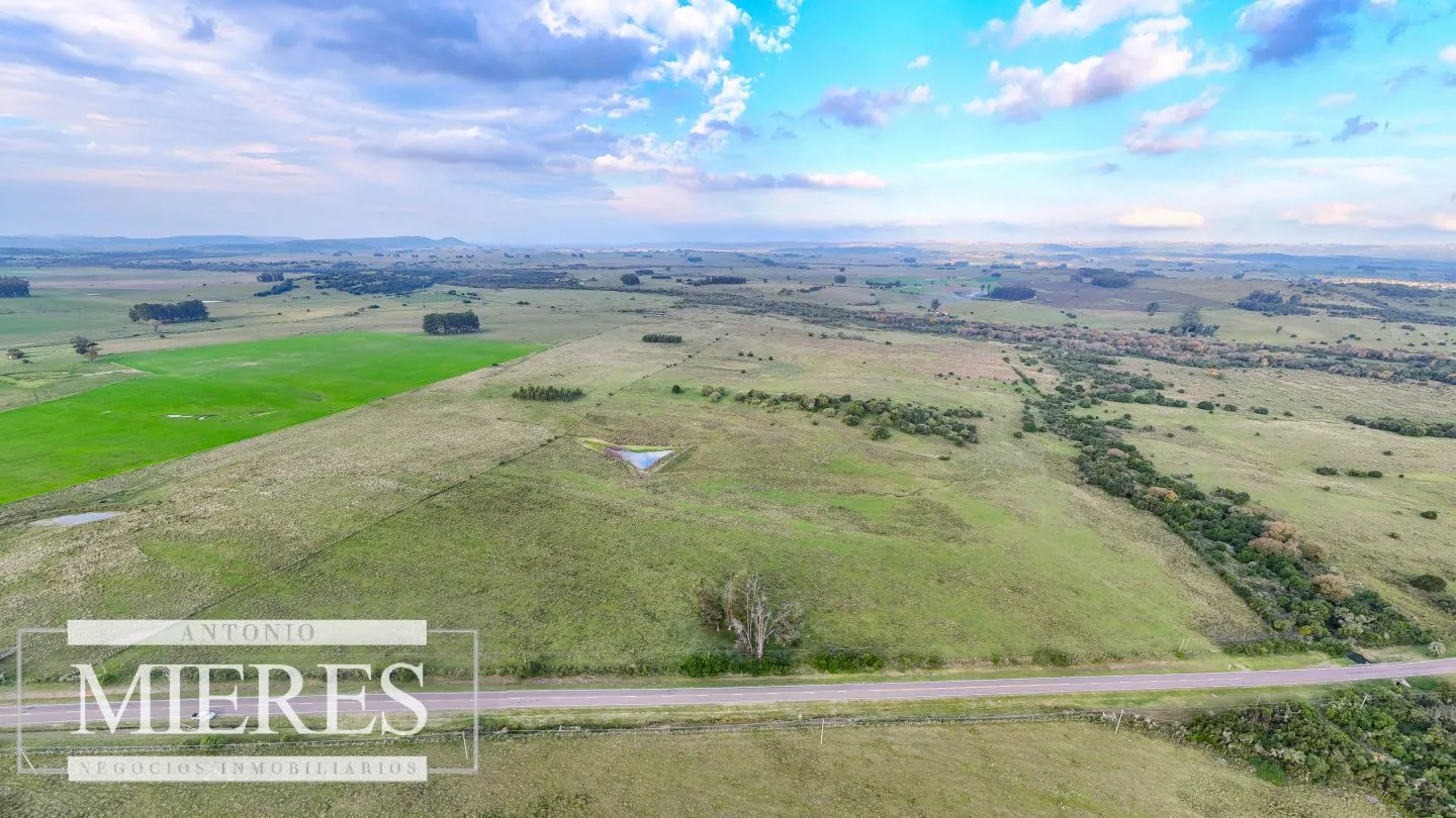 Campo en venta de 68 ha sobre ruta 39 — foto 19