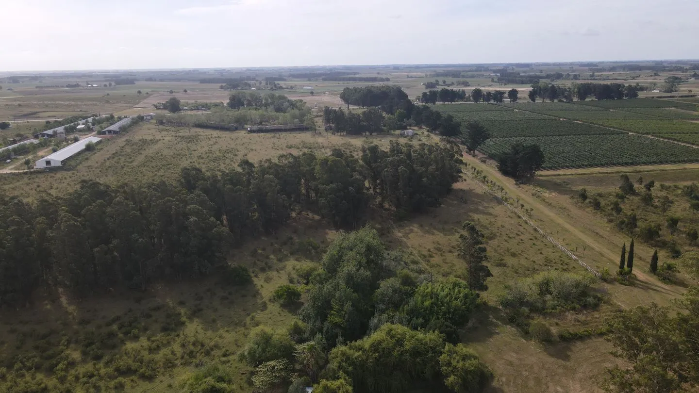 Campo en venta de 55 ha Canelones — foto 17