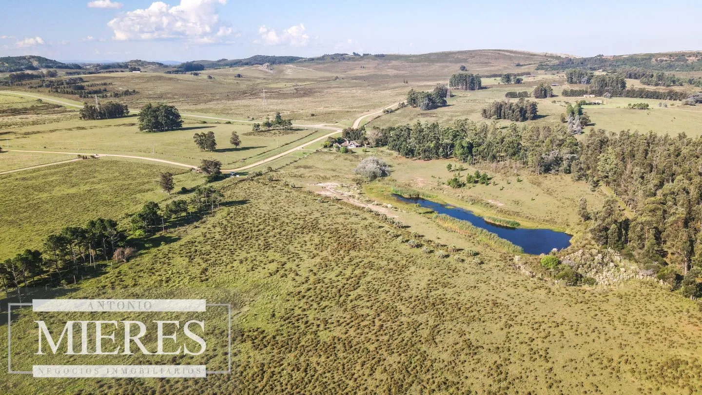 Chacra de 10ha en Laguna del Sauce Maldonado — foto 10