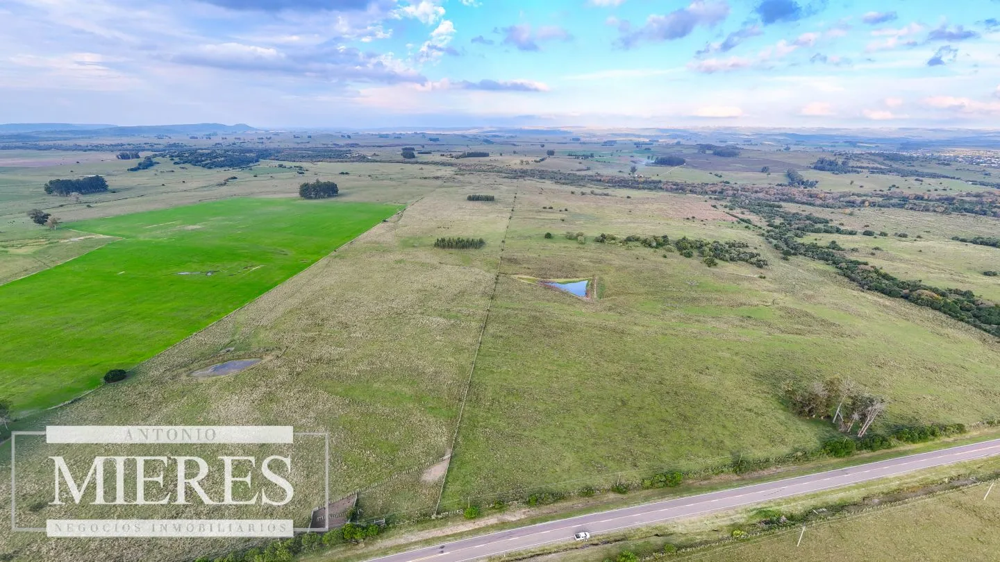 Campo en venta de 68 ha sobre ruta 39 — foto 20