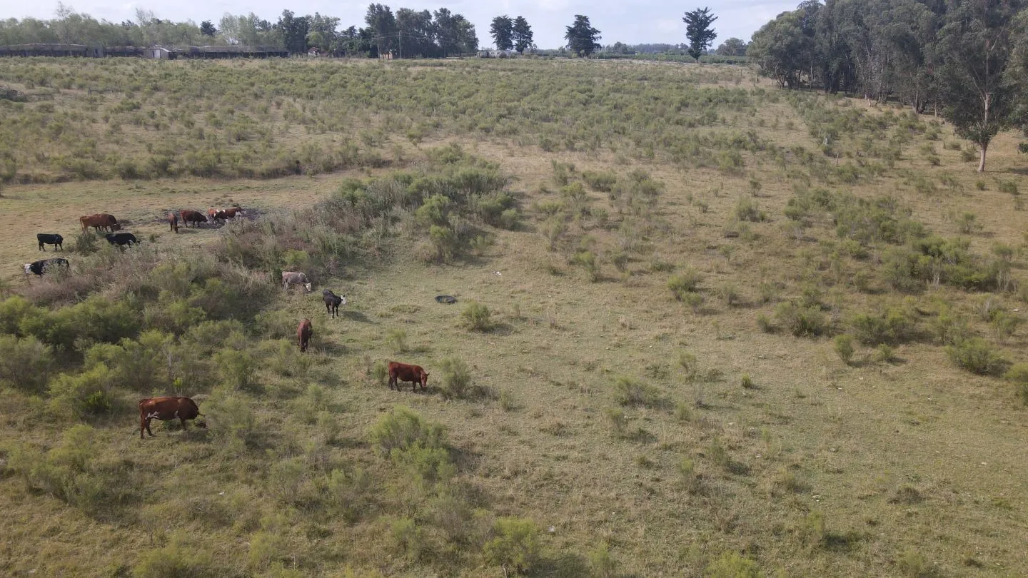Campo en venta de 55 ha Canelones — foto 18