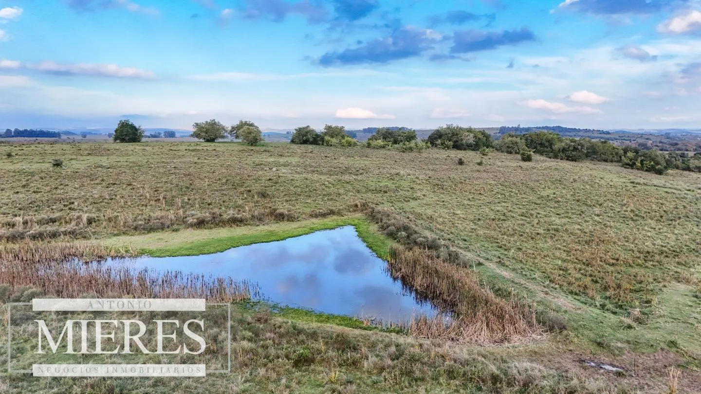 Campo en venta de 68 ha sobre ruta 39 — foto 21
