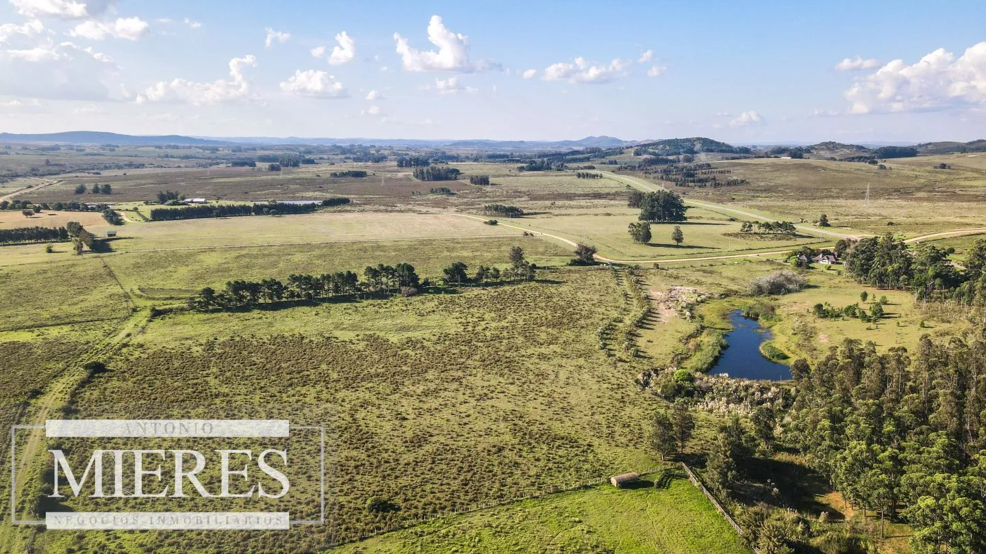Chacra de 10ha en Laguna del Sauce Maldonado — foto 12