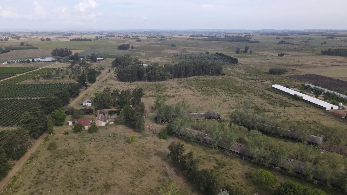 Campo en venta de 55 ha Canelones — foto 19