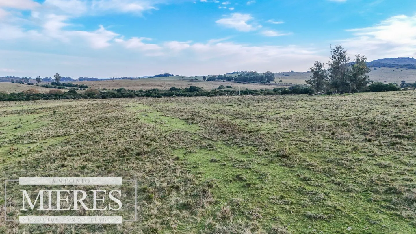 Campo en venta de 68 ha sobre ruta 39 — foto 22