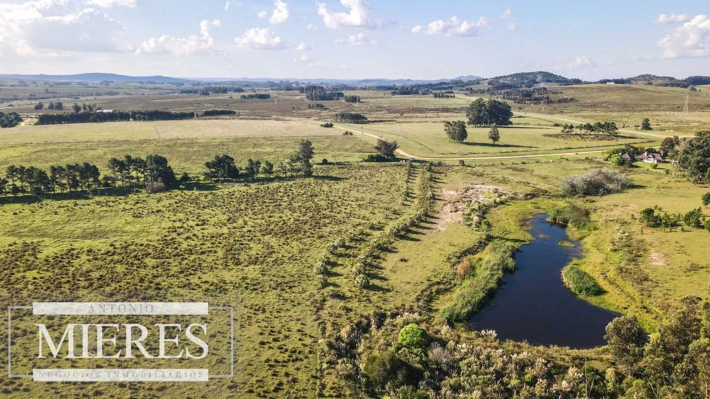 Chacra de 10ha en Laguna del Sauce Maldonado — foto 13