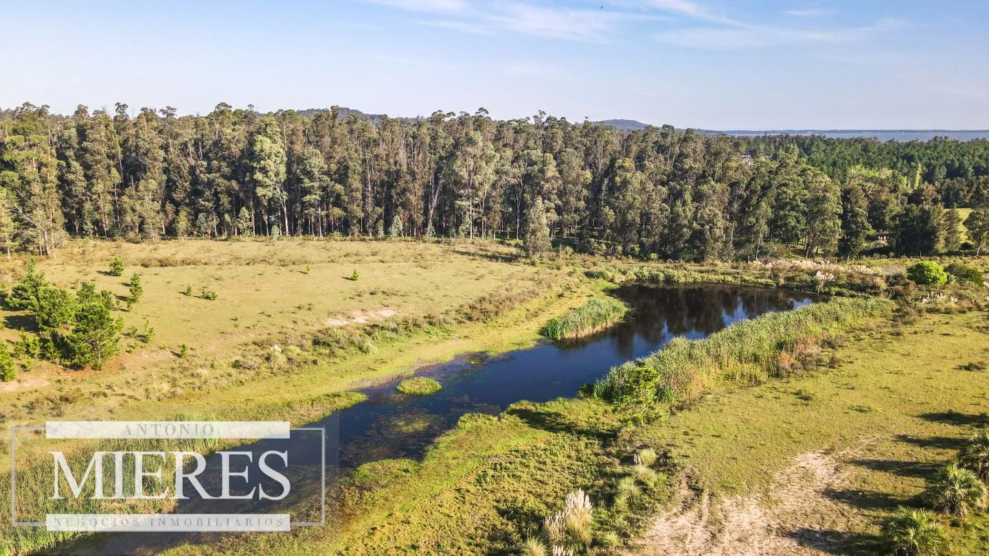 Chacra de 10ha en Laguna del Sauce Maldonado — foto 14