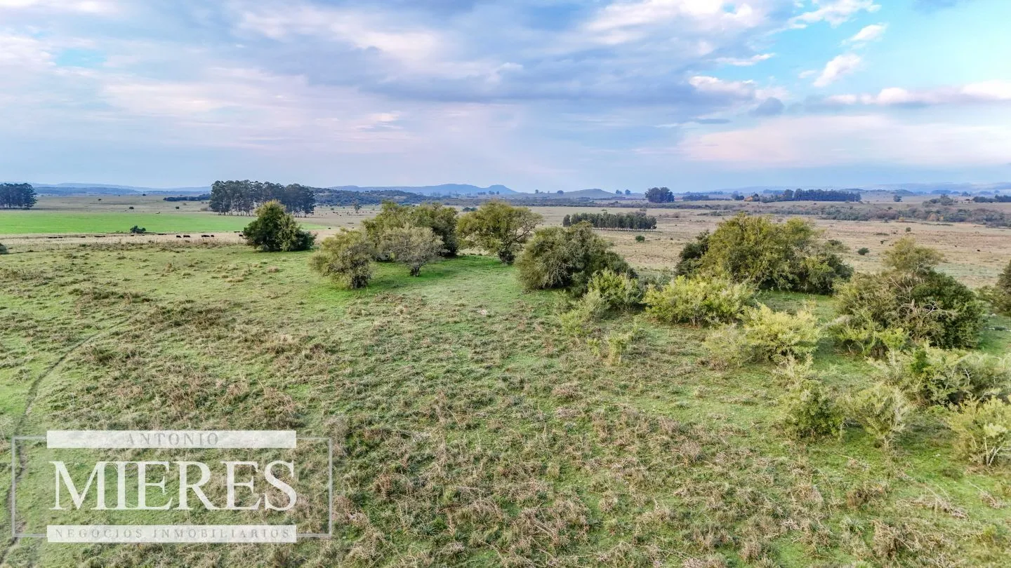 Campo en venta de 68 ha sobre ruta 39 — foto 23