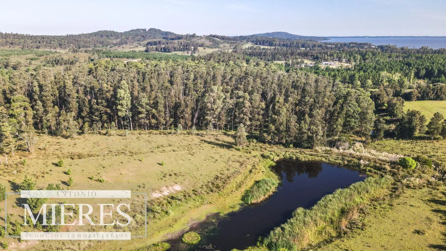 Chacra de 10ha en Laguna del Sauce Maldonado — foto 15