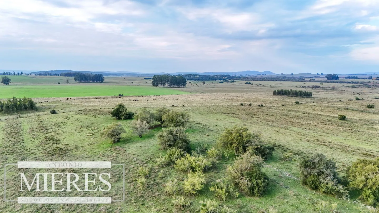 Campo en venta de 68 ha sobre ruta 39 — foto 24