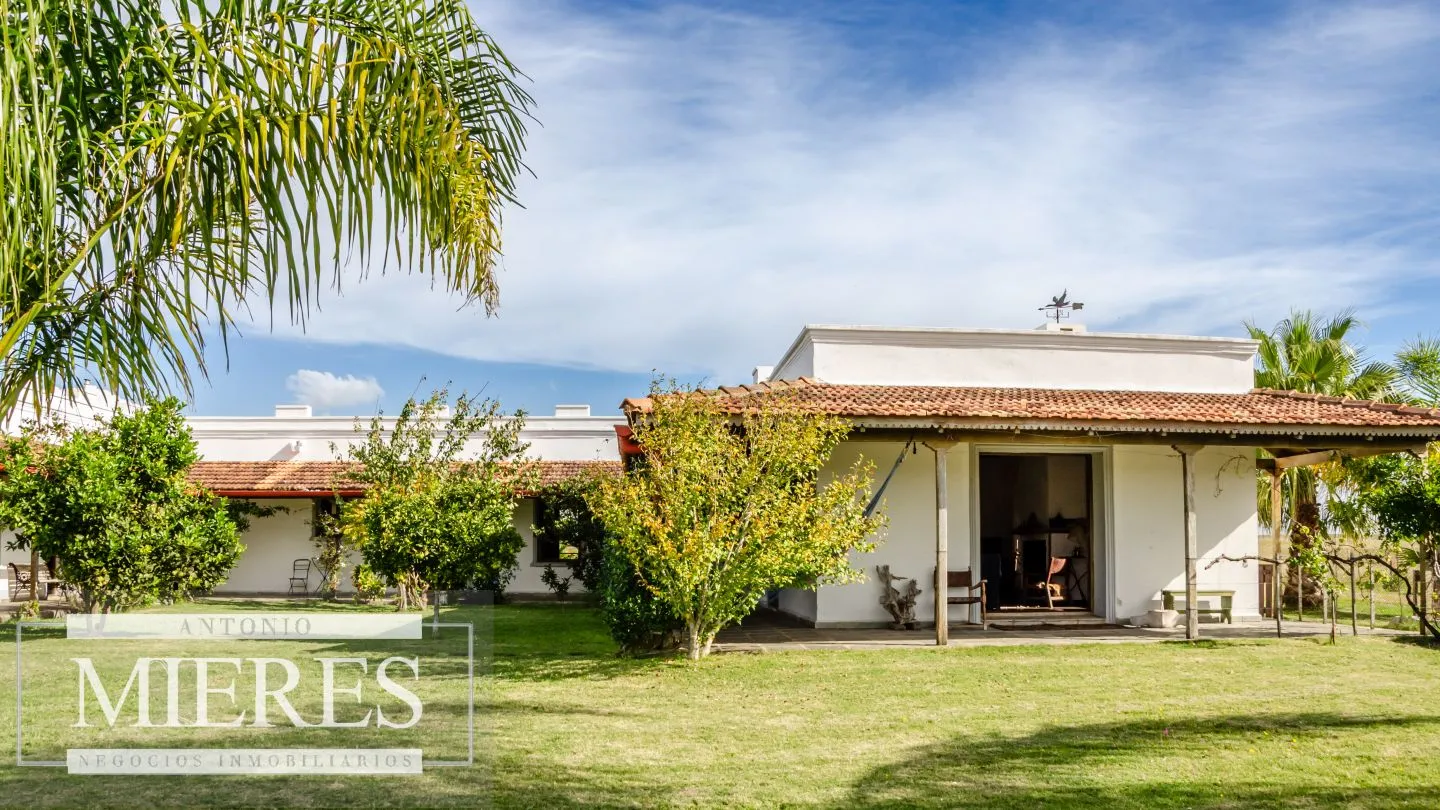 Campo en venta de 103 ha con casa reciclada Lavalleja. — foto 4