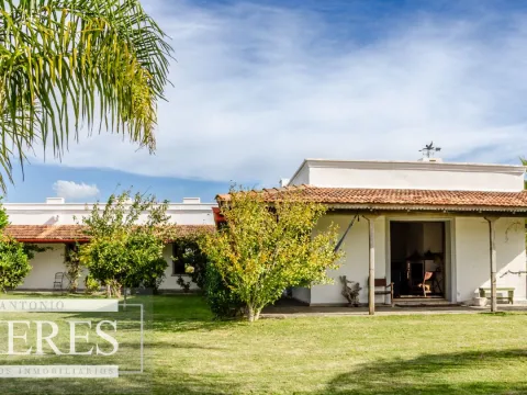 Campo en venta de 103 ha con casa reciclada Lavalleja. — foto 4