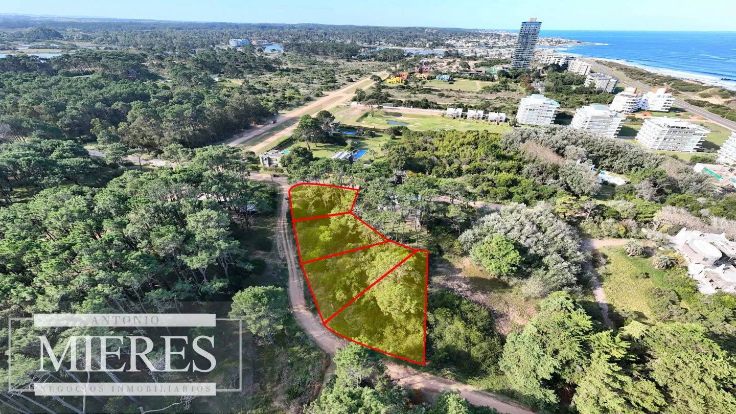 Venta 4 padrones juntos- Rincón del Indio — foto 1