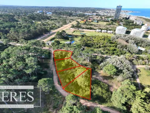 Venta 4 padrones juntos- Rincón del Indio