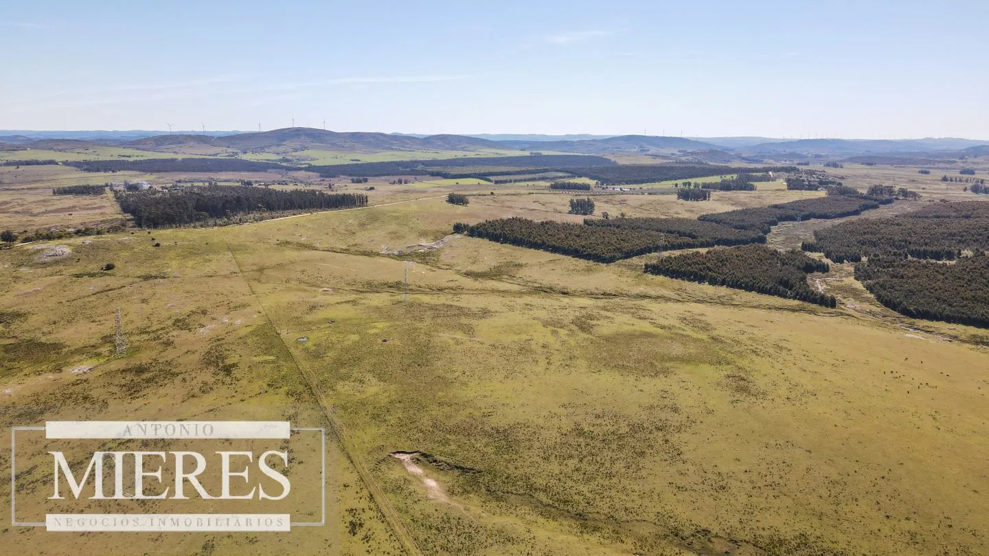 Campo en venta de 109 ha Partido Norte, Maldonado — foto 1