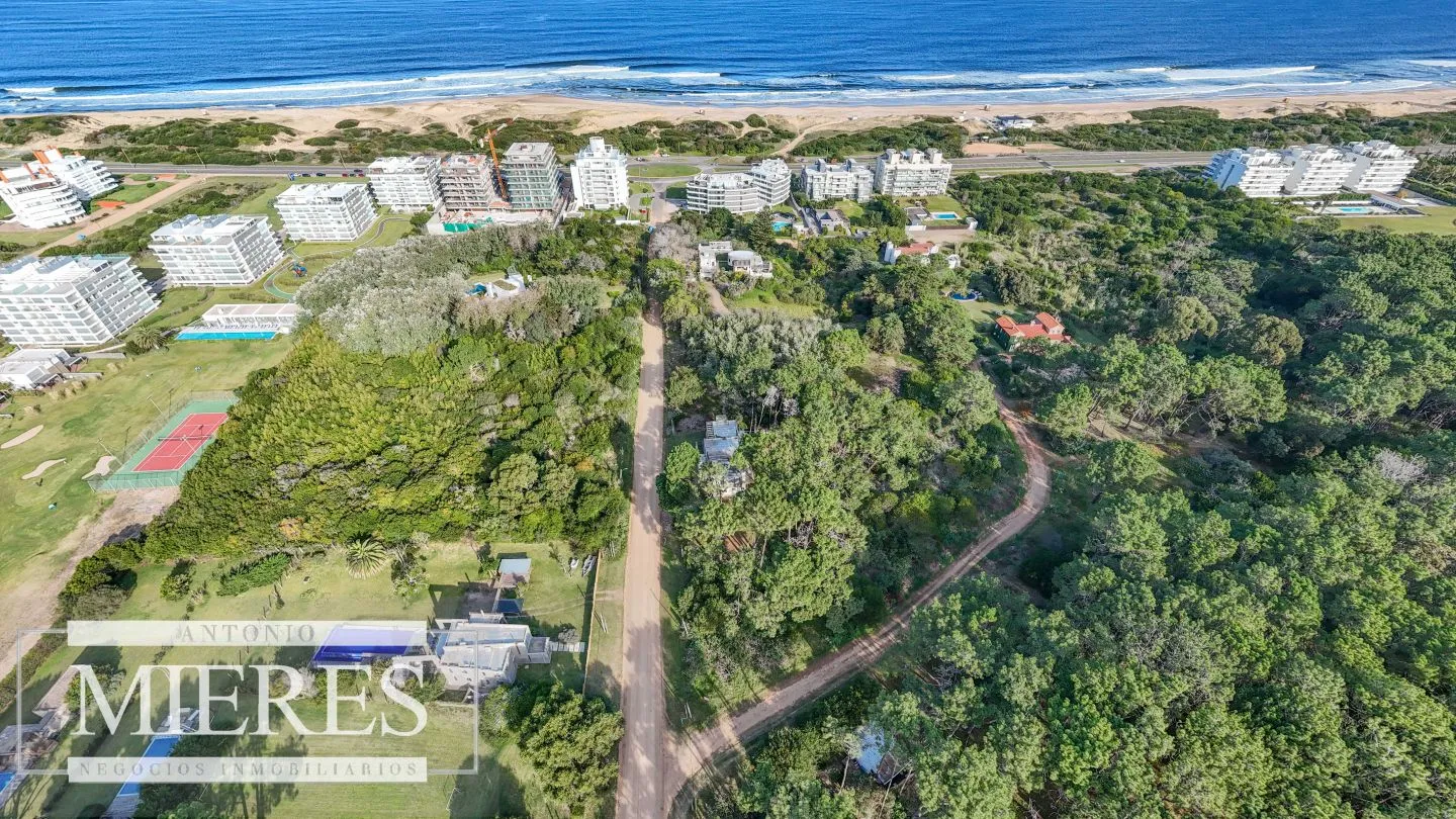 Venta 4 padrones juntos- Rincón del Indio — foto 2