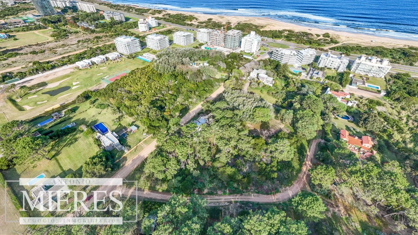 Venta 4 padrones juntos- Rincón del Indio — foto 3