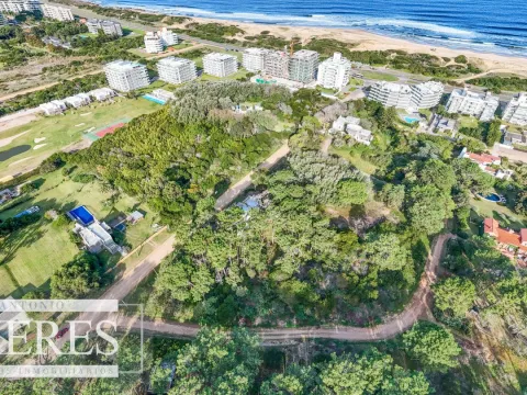 Venta 4 padrones juntos- Rincón del Indio — foto 3