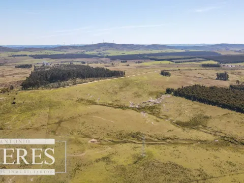 Campo en venta de 109 ha Partido Norte, Maldonado — foto 3