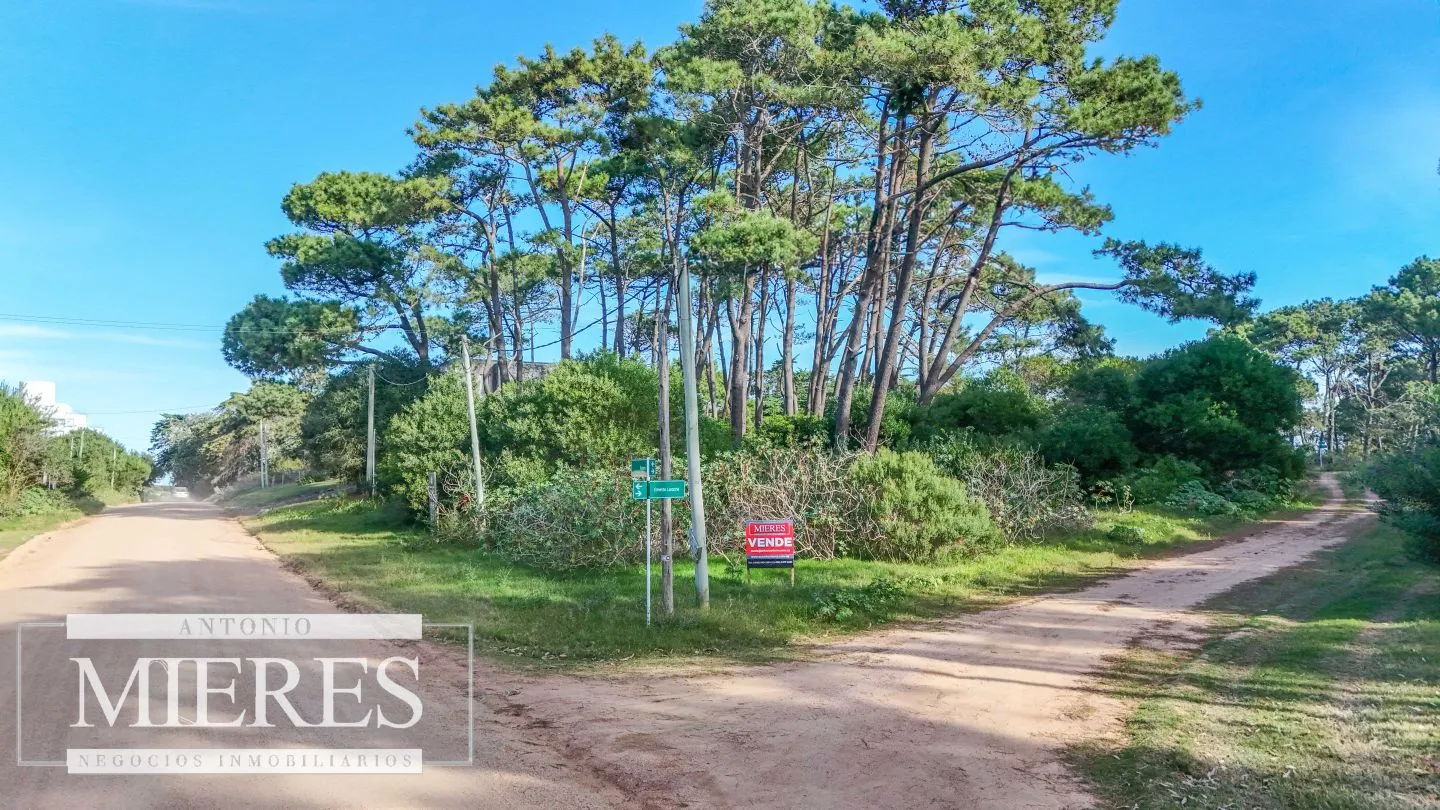 Venta 4 padrones juntos- Rincón del Indio — foto 4