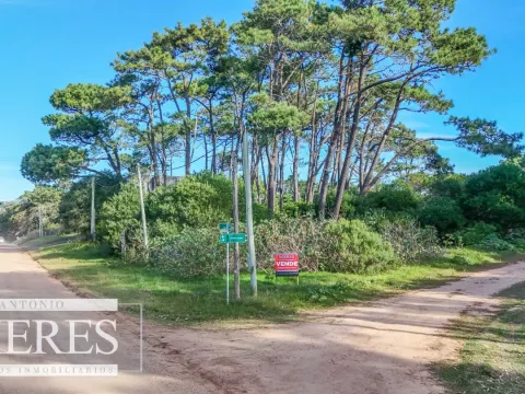 Venta 4 padrones juntos- Rincón del Indio — foto 4