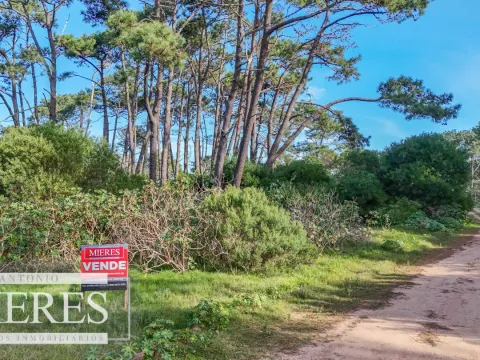 Venta 4 padrones juntos- Rincón del Indio — foto 5