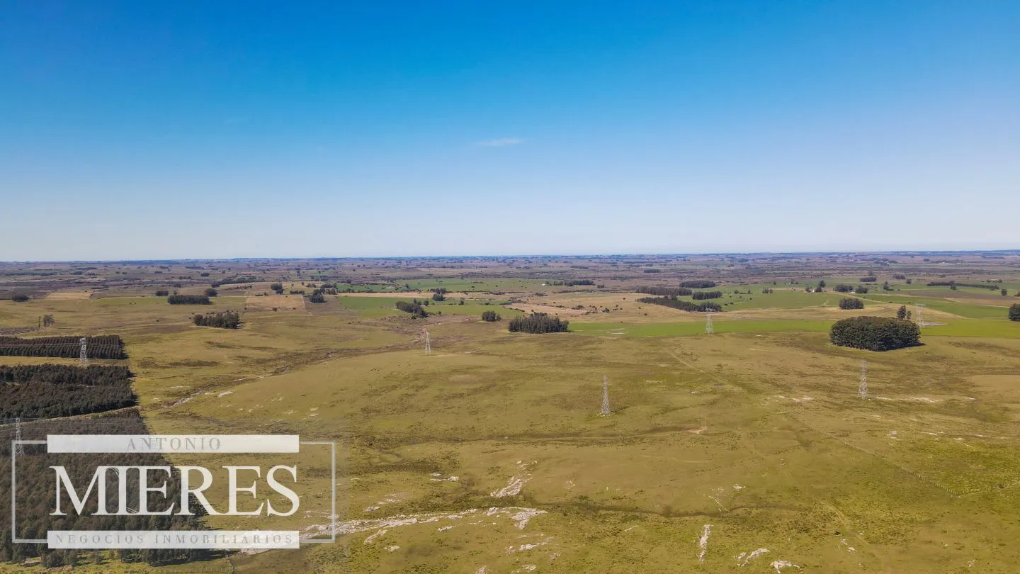 Campo en venta de 109 ha Partido Norte, Maldonado — foto 6