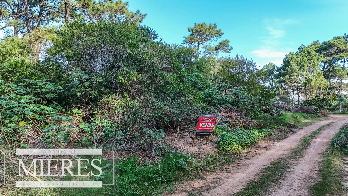 Venta 4 padrones juntos- Rincón del Indio — foto 7