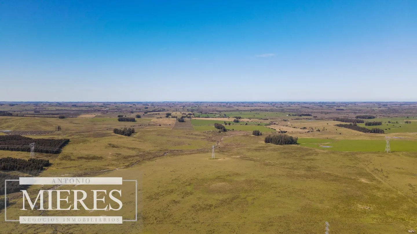 Campo en venta de 109 ha Partido Norte, Maldonado — foto 8
