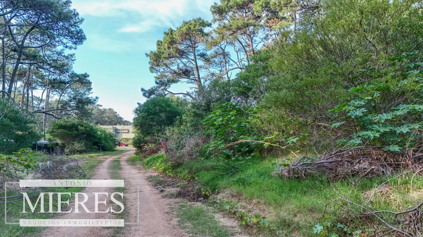 Venta 4 padrones juntos- Rincón del Indio — foto 8