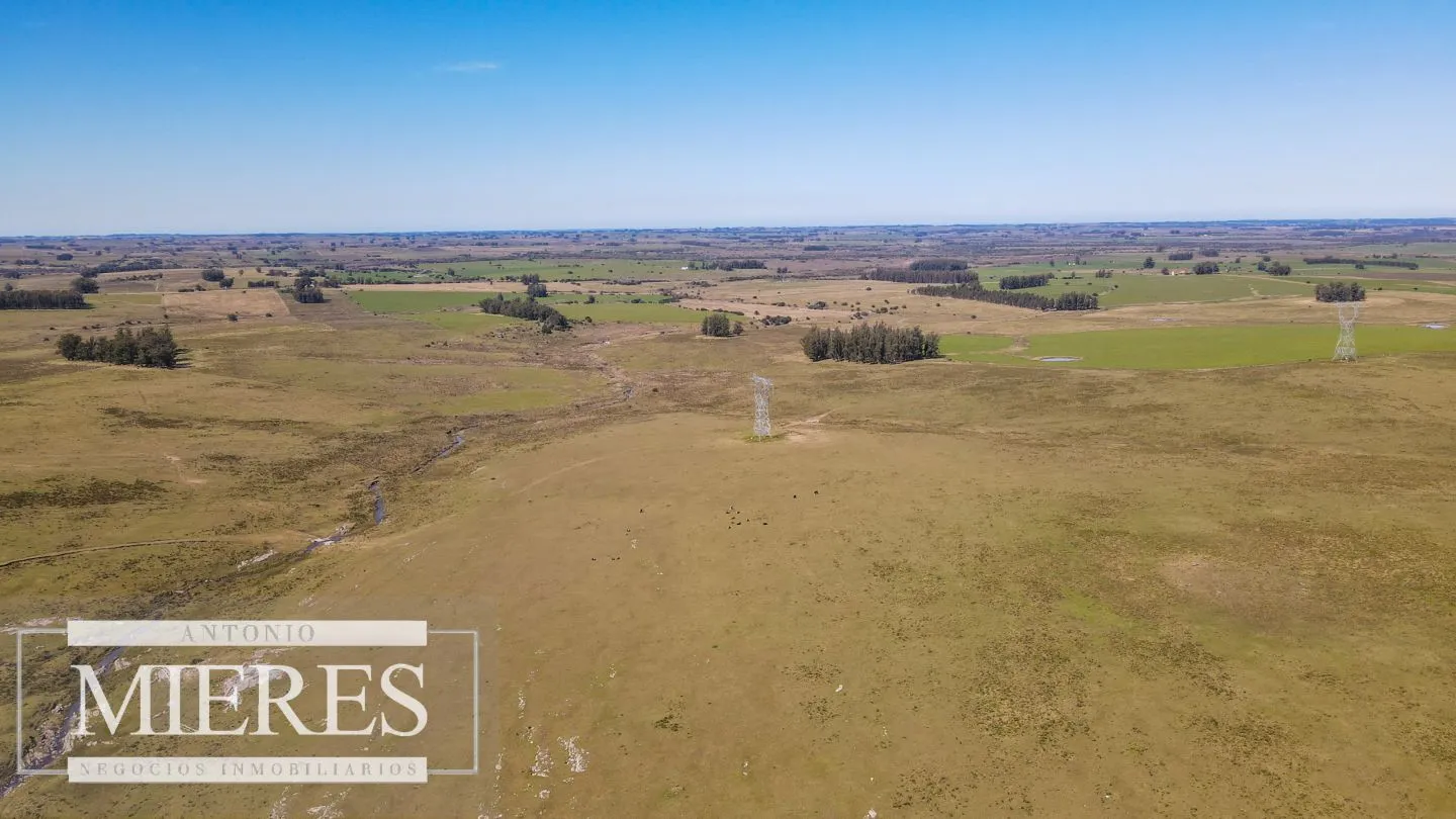 Campo en venta de 109 ha Partido Norte, Maldonado — foto 9