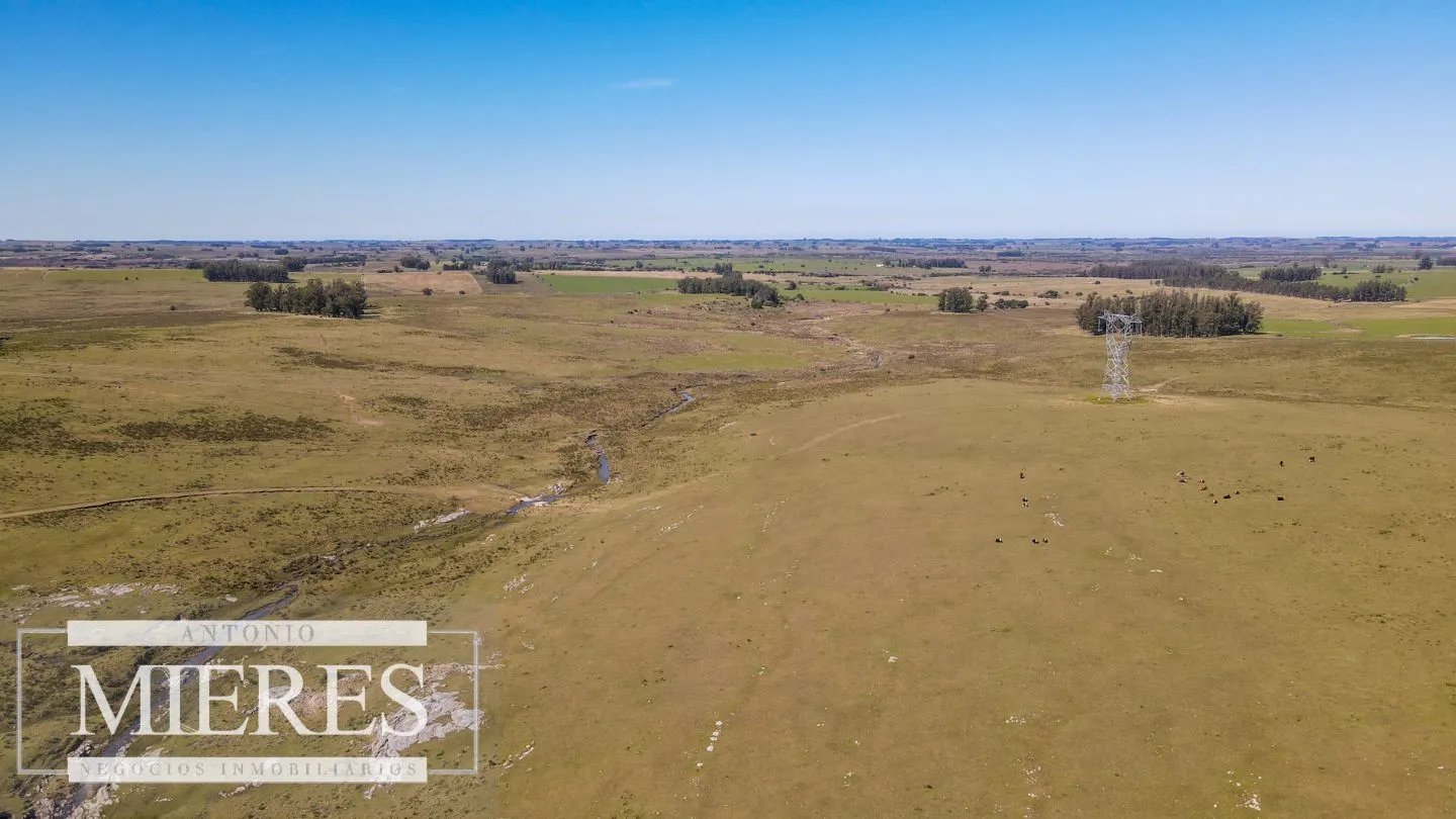 Campo en venta de 109 ha Partido Norte, Maldonado — foto 10