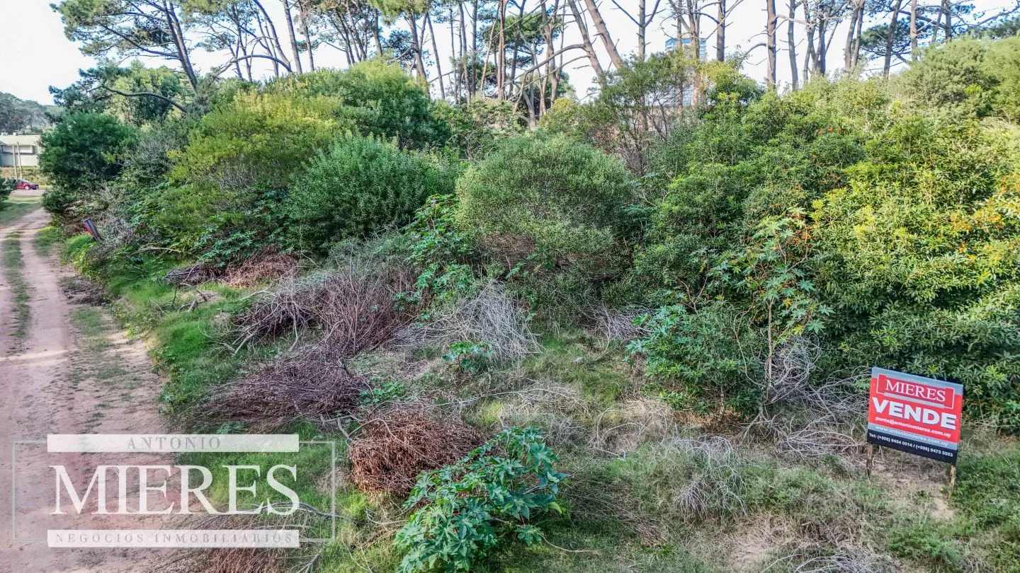 Venta 4 padrones juntos- Rincón del Indio — foto 9