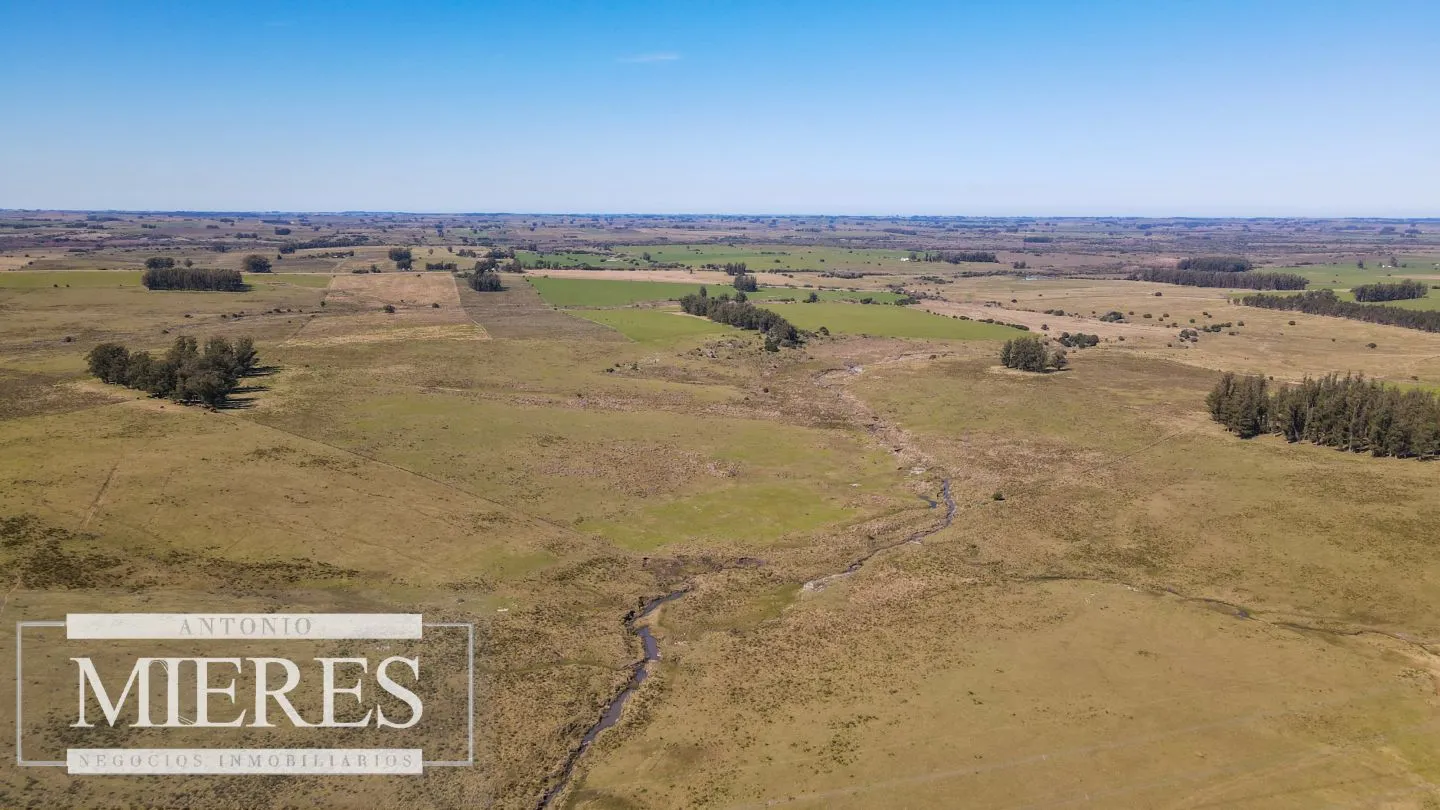 Campo en venta de 109 ha Partido Norte, Maldonado — foto 11