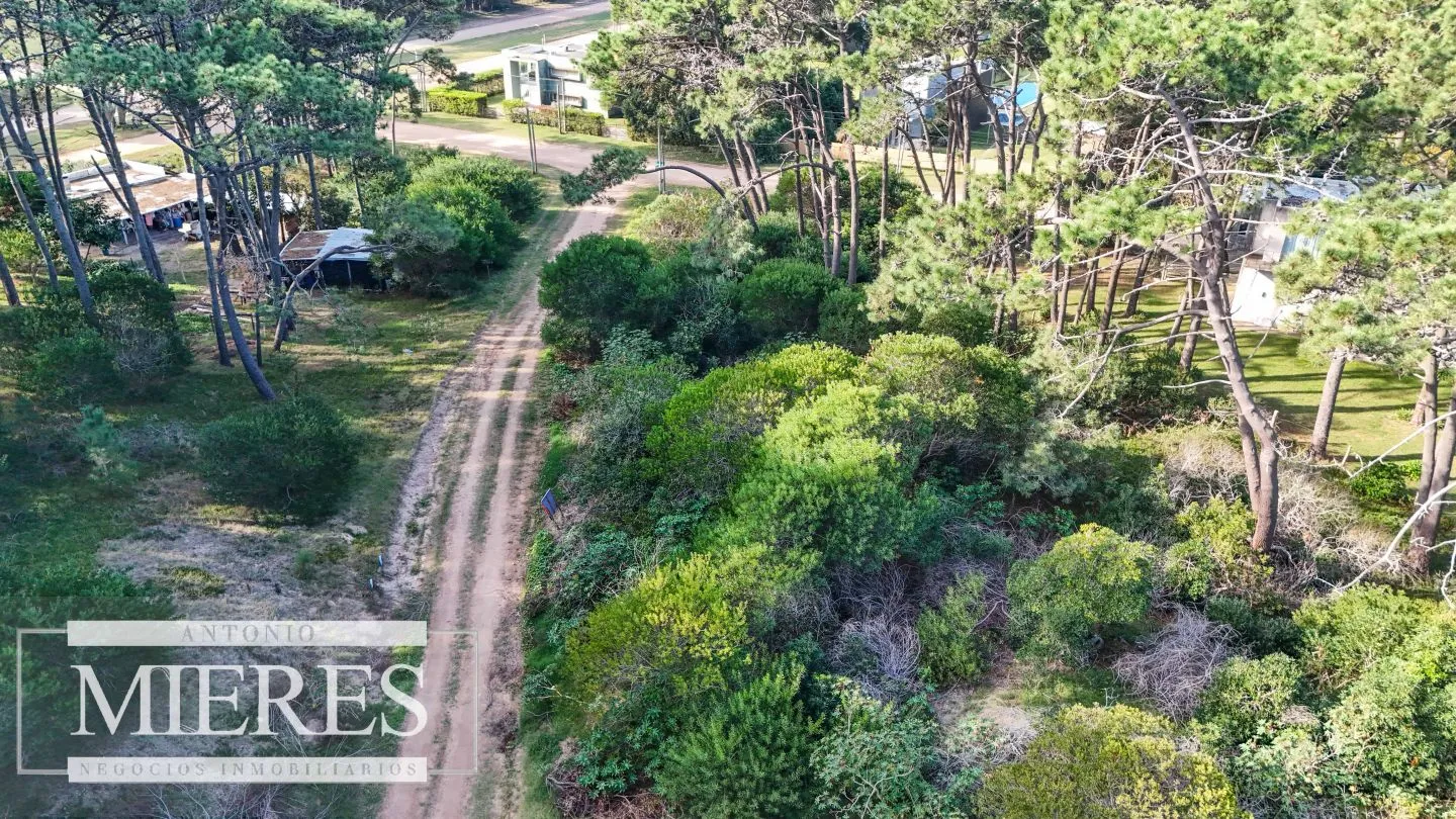 Venta 4 padrones juntos- Rincón del Indio — foto 10