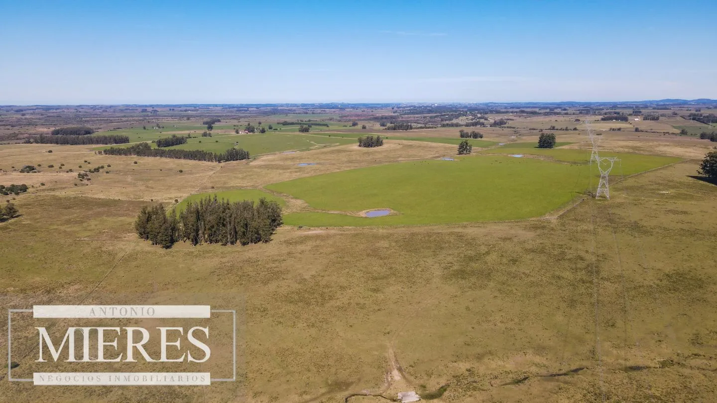 Campo en venta de 109 ha Partido Norte, Maldonado — foto 12