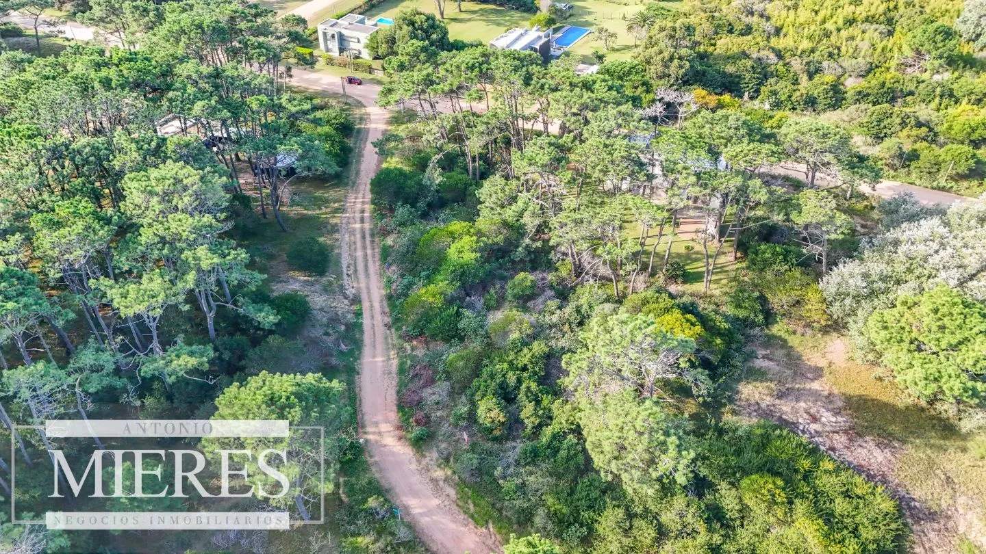 Venta 4 padrones juntos- Rincón del Indio — foto 11