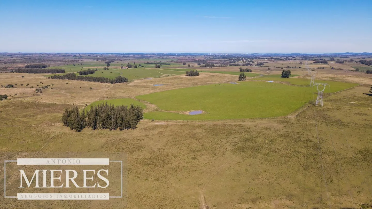 Campo en venta de 109 ha Partido Norte, Maldonado — foto 13