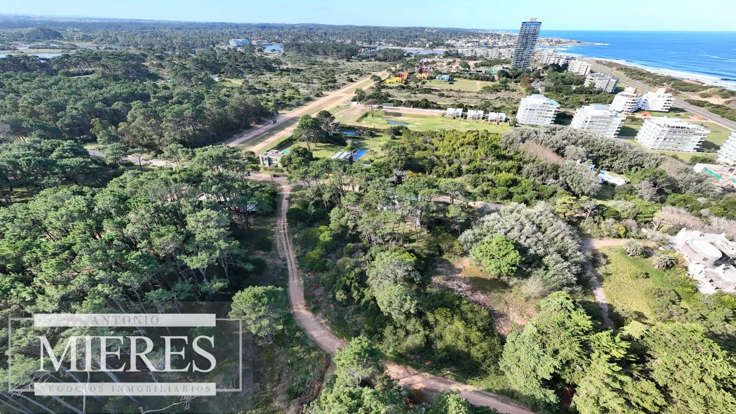 Venta 4 padrones juntos- Rincón del Indio — foto 12