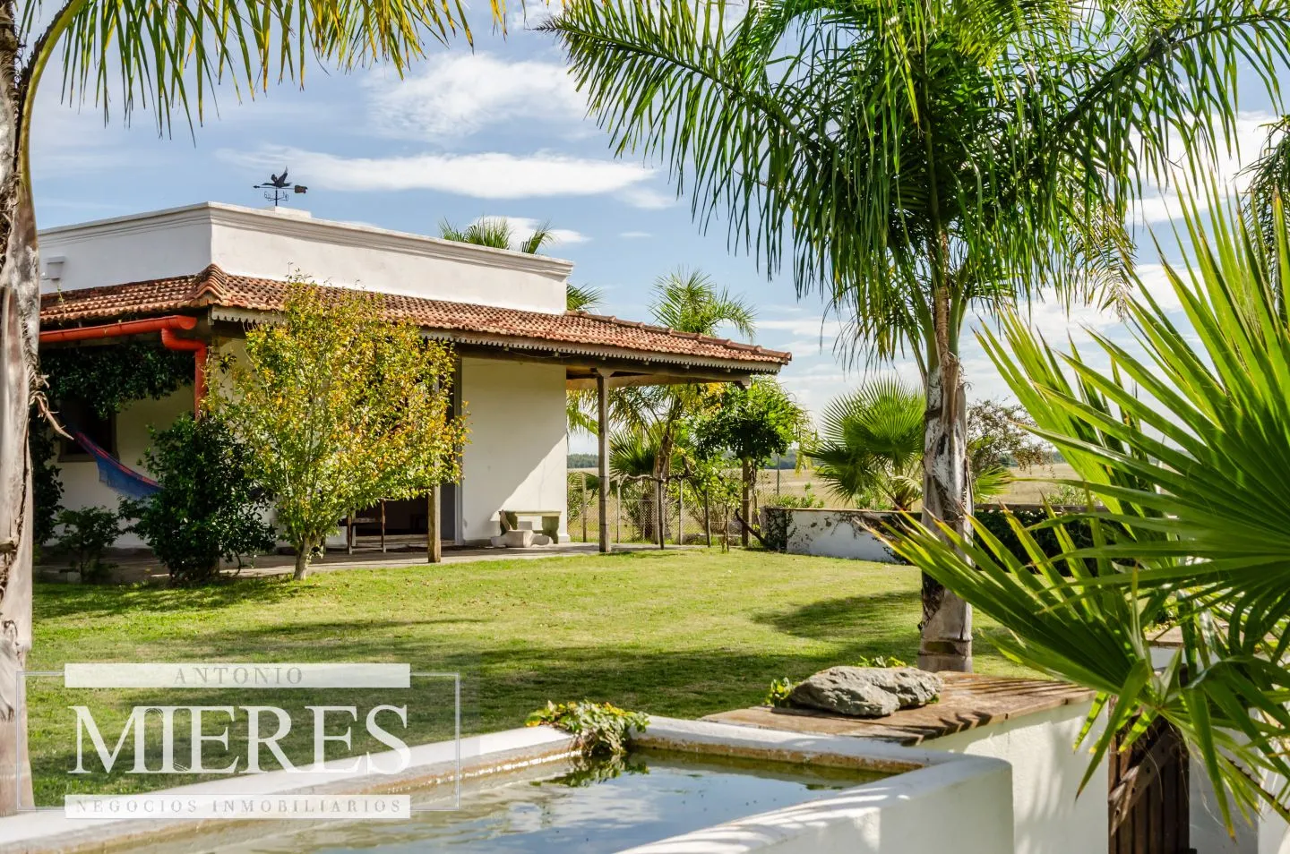 Campo en venta de 103 ha con casa reciclada Lavalleja. — foto 21