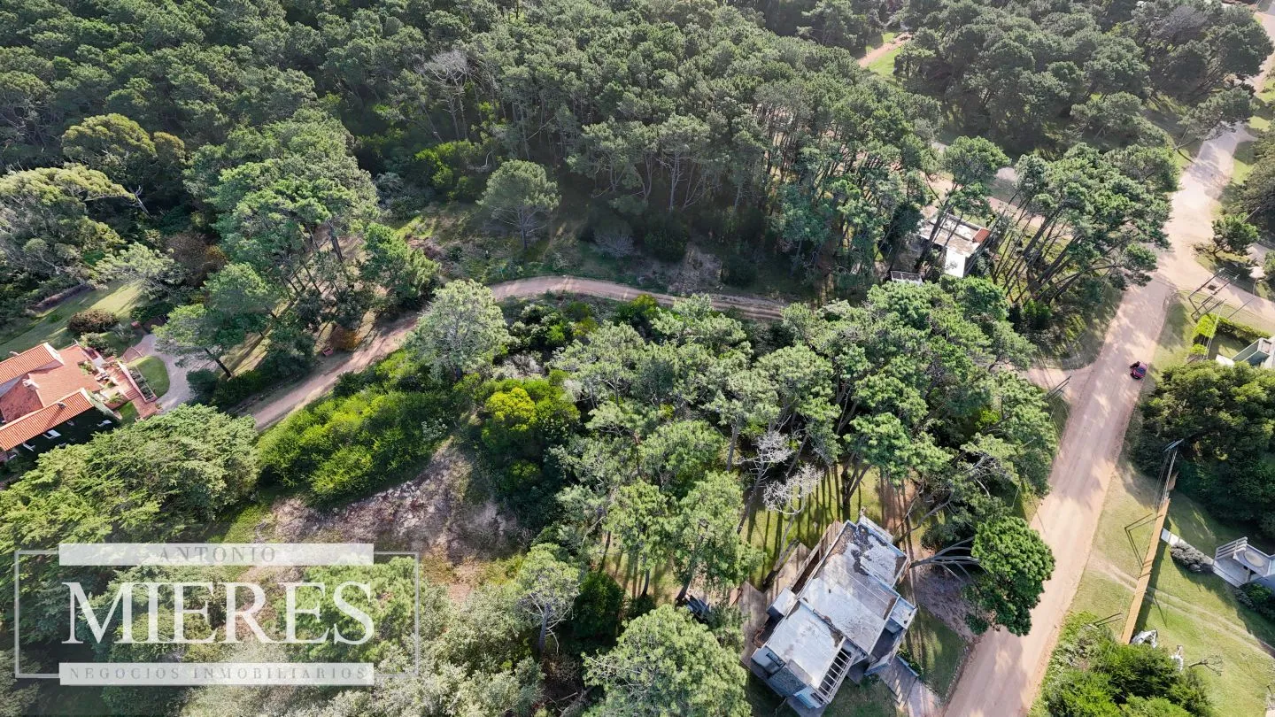 Venta 4 padrones juntos- Rincón del Indio — foto 13