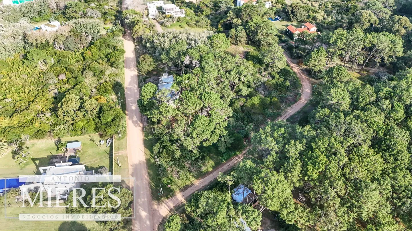 Venta 4 padrones juntos- Rincón del Indio — foto 14